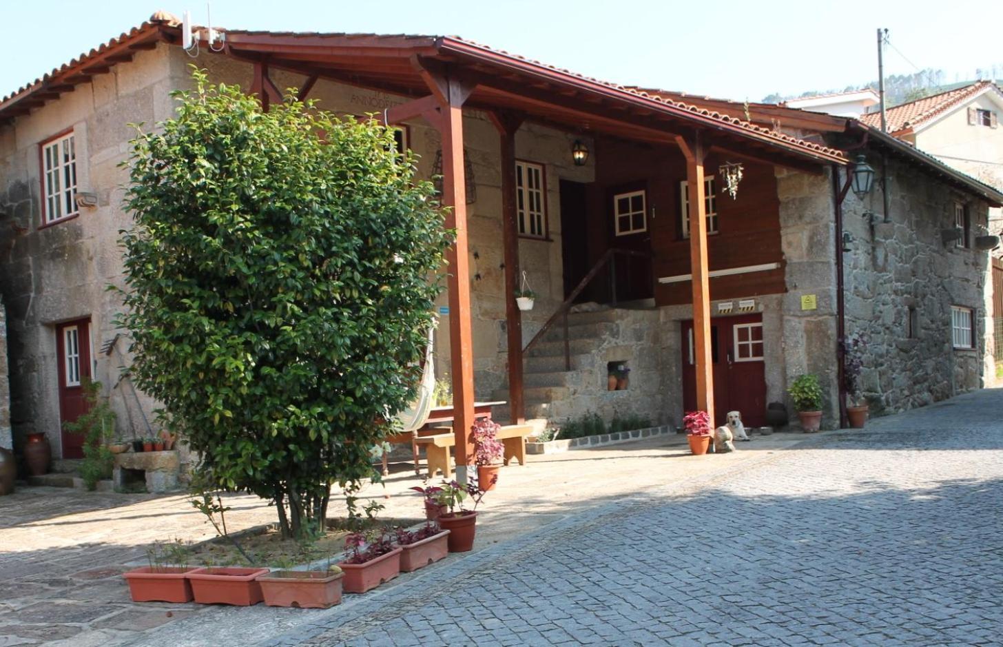 הוילה טראס דה בורו Quinta Da Mo מראה חיצוני תמונה